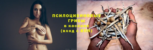 spice Аркадак