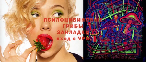 spice Аркадак