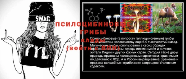 spice Аркадак